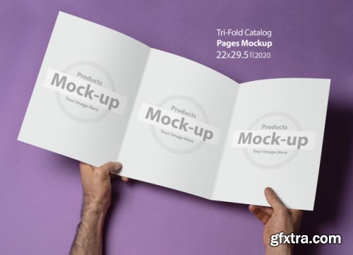 Hand holding blank, box notes mockup vol2