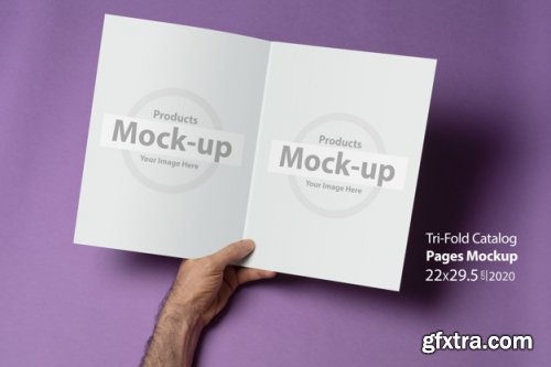 Hand holding blank, box notes mockup vol2