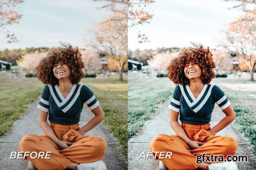 CreativeMarket - 5 Blogger Lightroom Presets 5701429