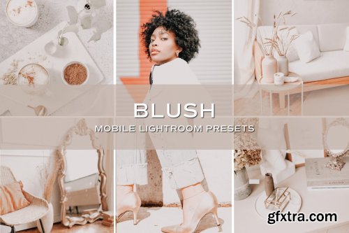 CreativeMarket - 5 Blush Lightroom Presets 5701707