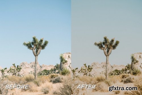 CreativeMarket - 5 Joshua Tree Lightroom Presets 5701728