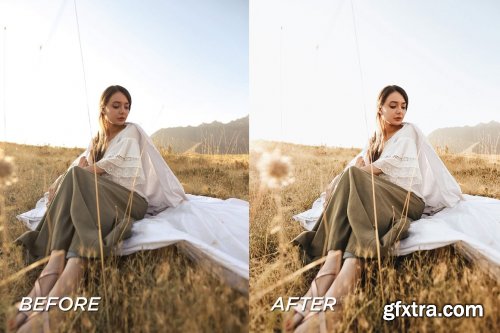 CreativeMarket - 5 Blogger Lightroom Presets 5701727