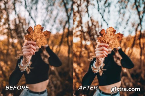 CreativeMarket - 5 Fall Lightroom Presets 5701788