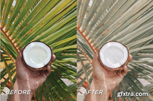 CreativeMarket - 5 Green Lightroom Presets 5701761