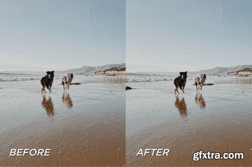 CreativeMarket - 5 Moody Pet Lightroom Presets 5698951