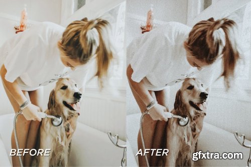 CreativeMarket - 5 Moody Pet Lightroom Presets 5698951