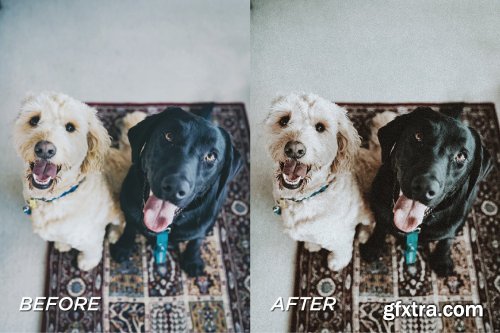 CreativeMarket - 5 Moody Pet Lightroom Presets 5698951