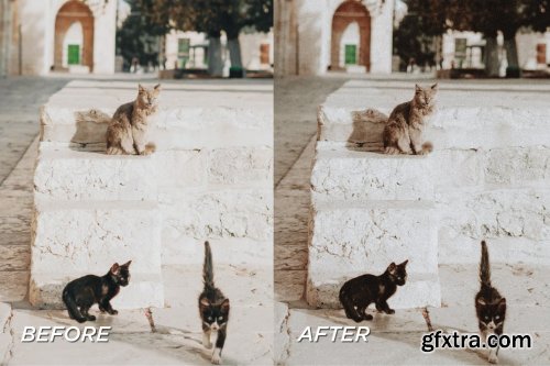 CreativeMarket - 5 Moody Pet Lightroom Presets 5698951