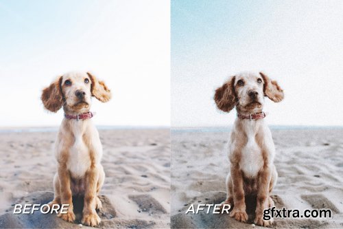 CreativeMarket - 5 Moody Pet Lightroom Presets 5698951