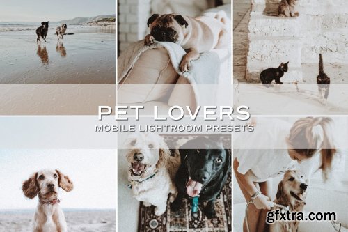 CreativeMarket - 5 Moody Pet Lightroom Presets 5698951