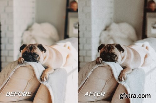 CreativeMarket - 5 Moody Pet Lightroom Presets 5698951