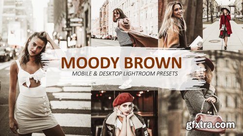 CreativeMarket - Lightroom Brown Presets 5639204