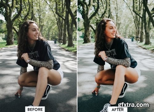 CreativeMarket - 10 EARTHY TONES Lightroom Preset 5533013