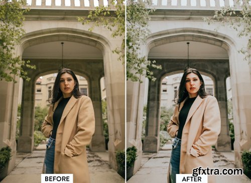 CreativeMarket - 10 EARTHY TONES Lightroom Preset 5533013