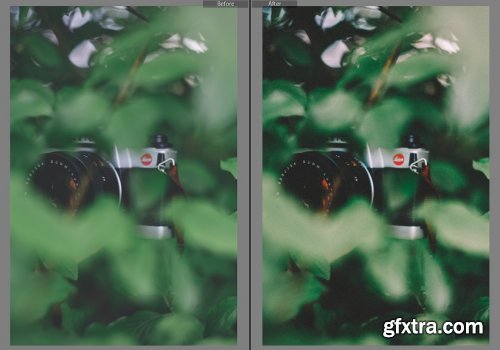 CreativeMarket - Vintage Preset For Lightroom 5585593