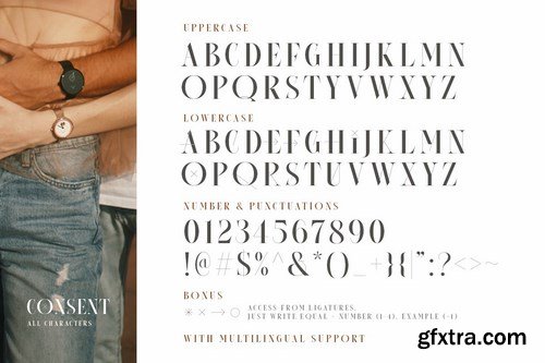 CM - Consent - Editorial Serif Font 5635080