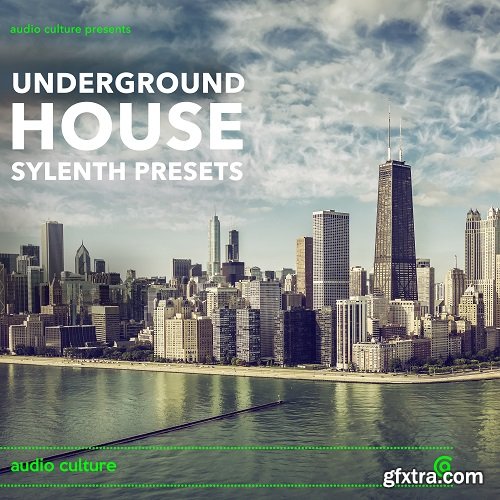 Audio Culture Underground House Sylenth Presets