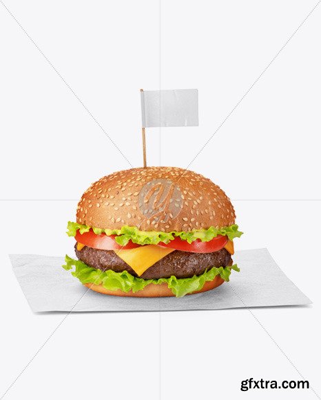 Burger on Paper Sheet Mockup 73187