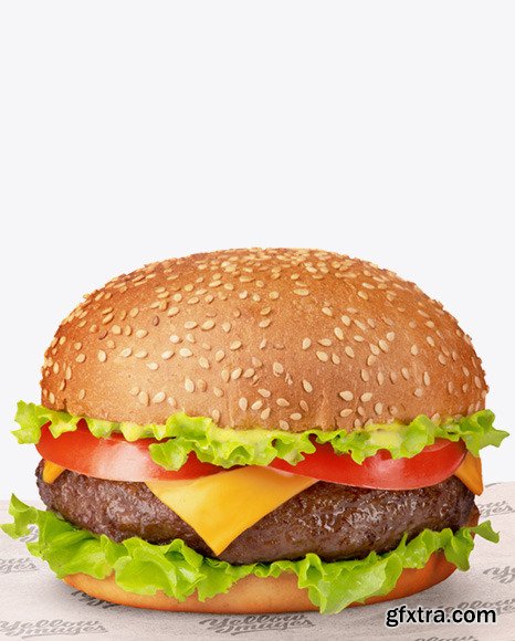 Burger on Paper Sheet Mockup 73187