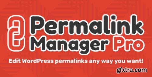 Permalink Manager Pro v2.2.9.3 - Edit WordPress Permalinks Any Way You Want - NULLED