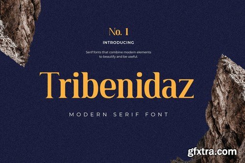 Tribenidaz Serif Display Font