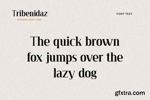 Tribenidaz Serif Display Font