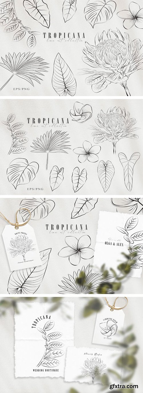 Line Art Tropical Plants Clipart Set 7570346