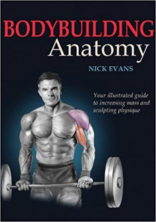  Bodybuilding Anatomy 