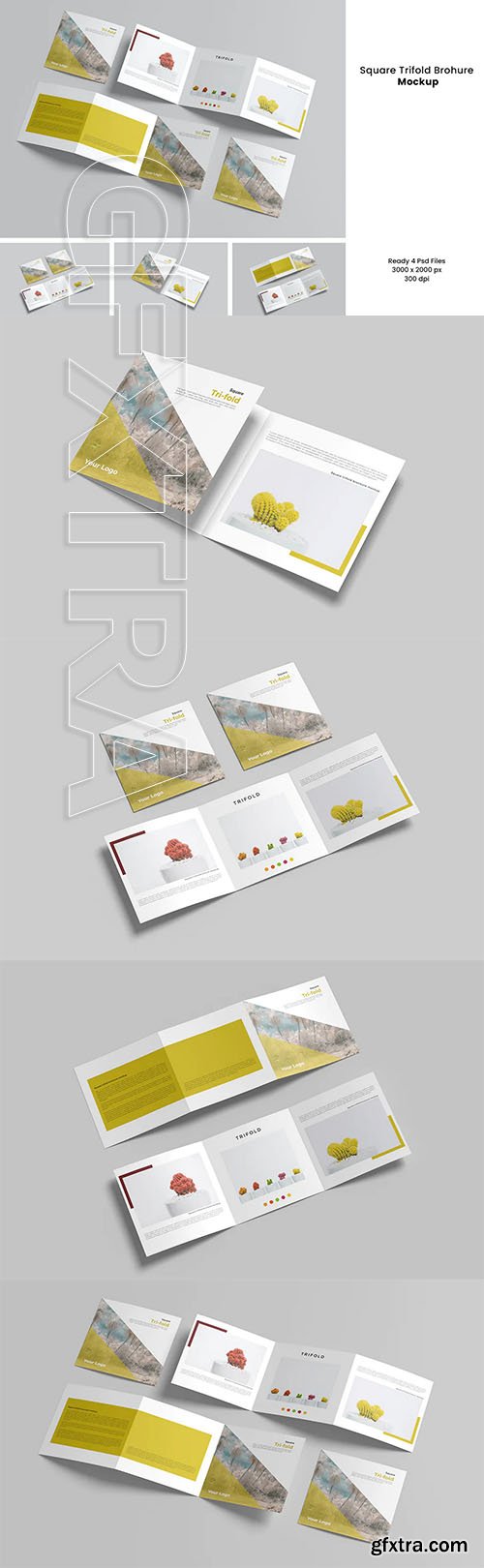 Square Trifold Brochure Mockup V.2