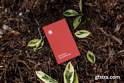 Business Card Mockup on The Ground