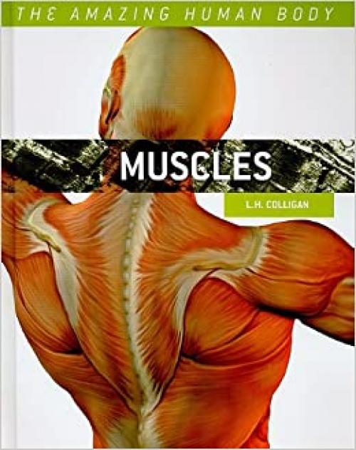  Muscles (Amazing Human Body) 