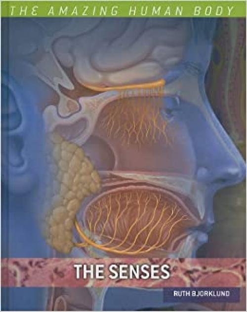  The Senses (Amazing Human Body) 