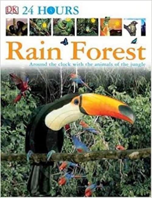  DK 24 Hours: Rain Forest 