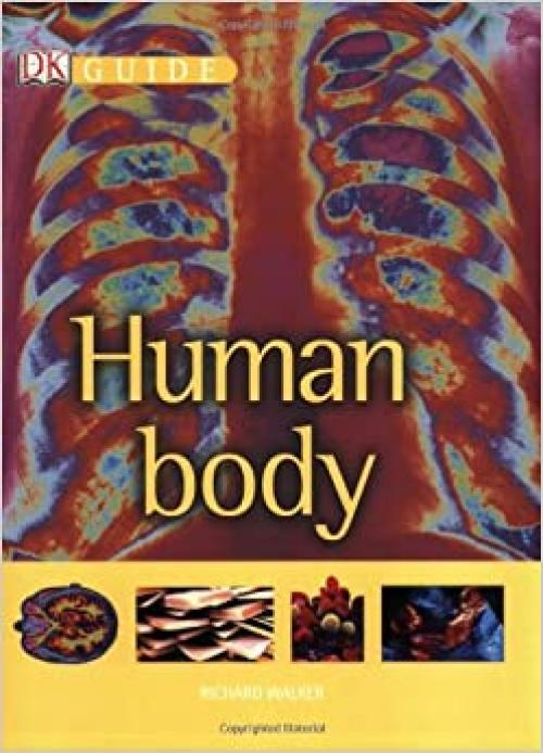  Human Body (Dk Guide) 