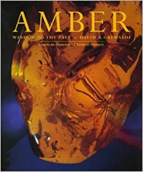  Amber: Window to the Past 