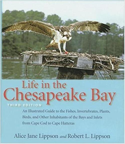  Life in the Chesapeake Bay 