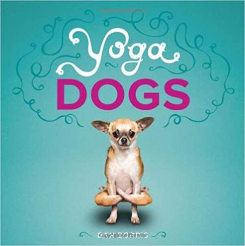  Yoga Dogs 