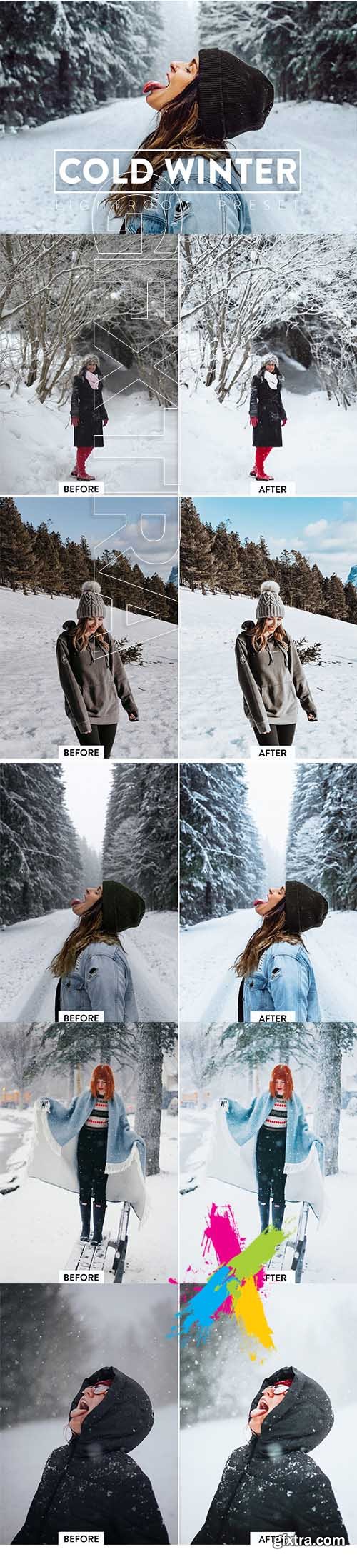 CreativeMarket - 10 WINTER Lightroom Mobile Preset 5757458