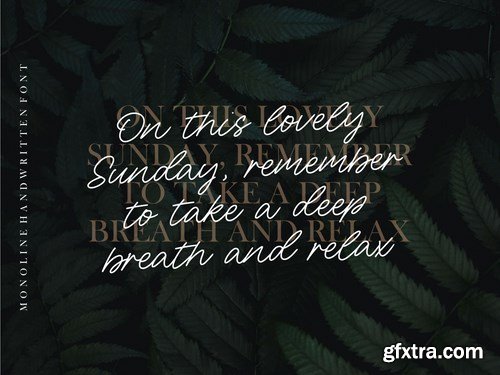 Sunday Bridge Script Font