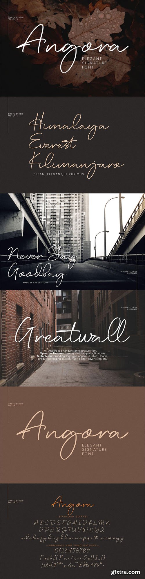 Angora - Elegant Signature Font