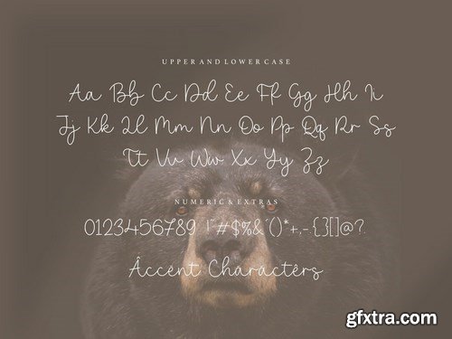 Bearline Signature Font