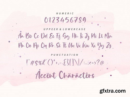 Daily Feather Script Font