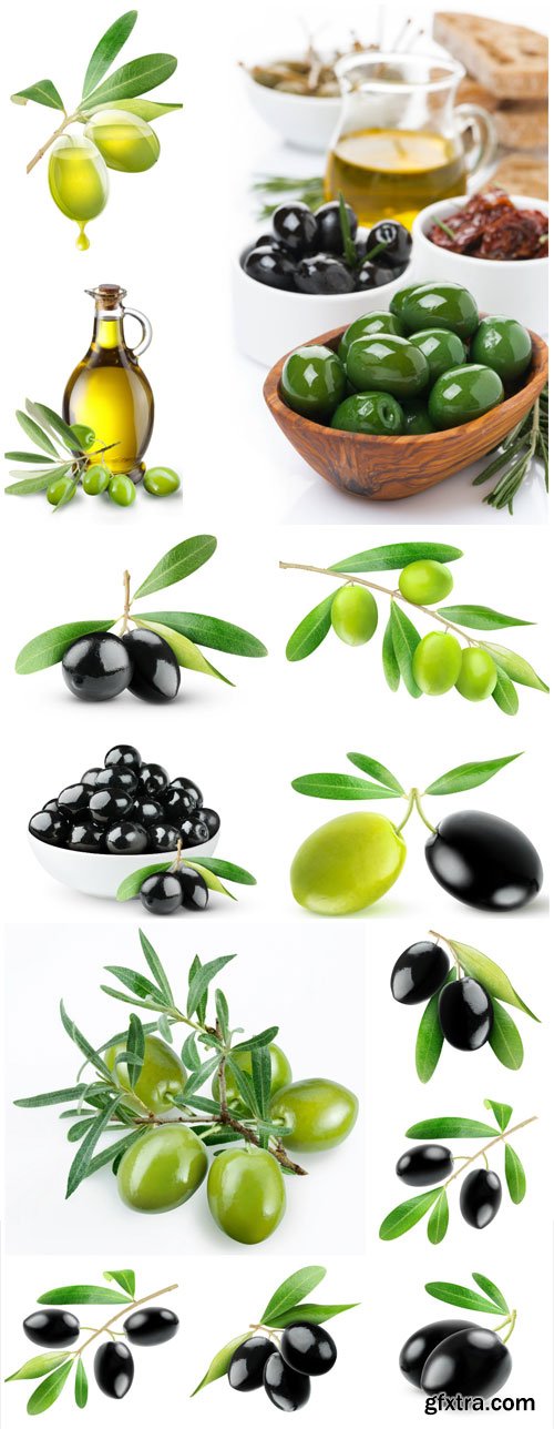 Sprigs with olives, olive oil stock photo