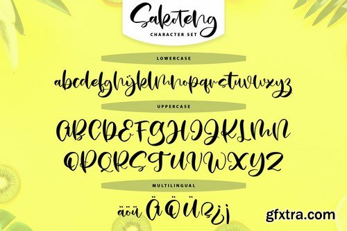 Sakoteng Handwriting Script Font