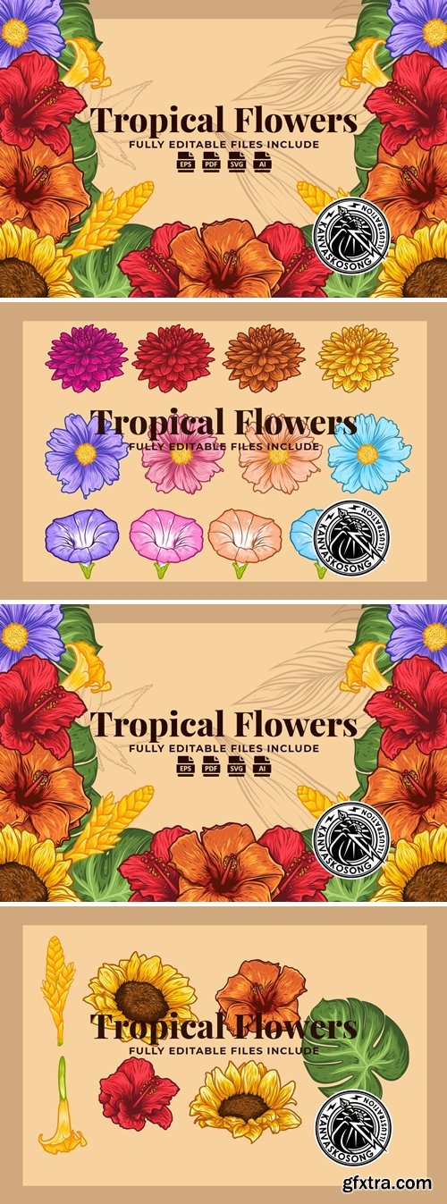 Tropical Flowers Illustration Pack