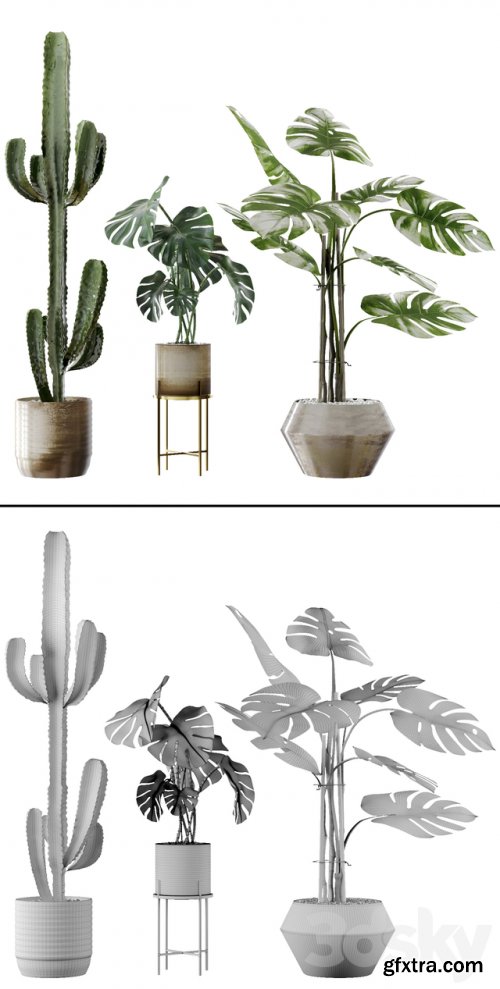 Plants collection 04