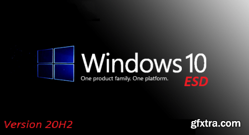 Windows 10 Pro 20H2 10.0.19042.746 3in1 OEM ESD en-US Preactivated January 2021