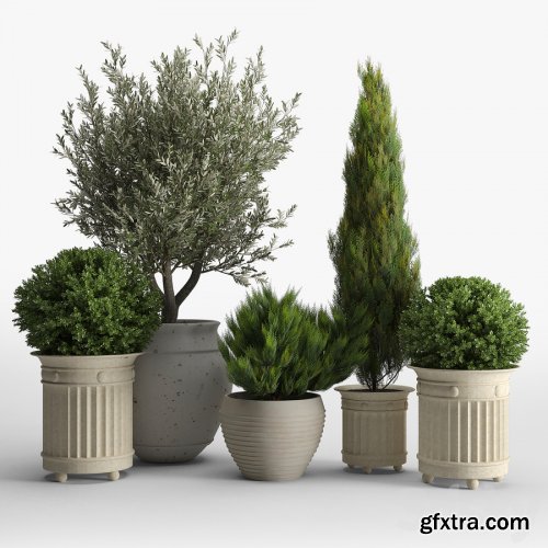 Prescott planter set