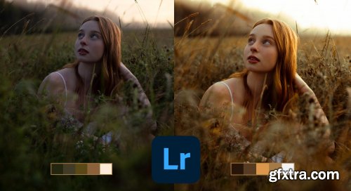  What Makes a Good Photo: A Beginners Guide to Editing in Lightroom