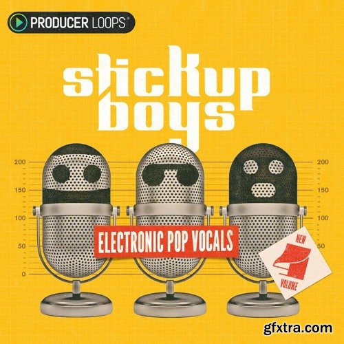 Producer Loops Stick Up Boys Electronic Pop Vocals Volume 4